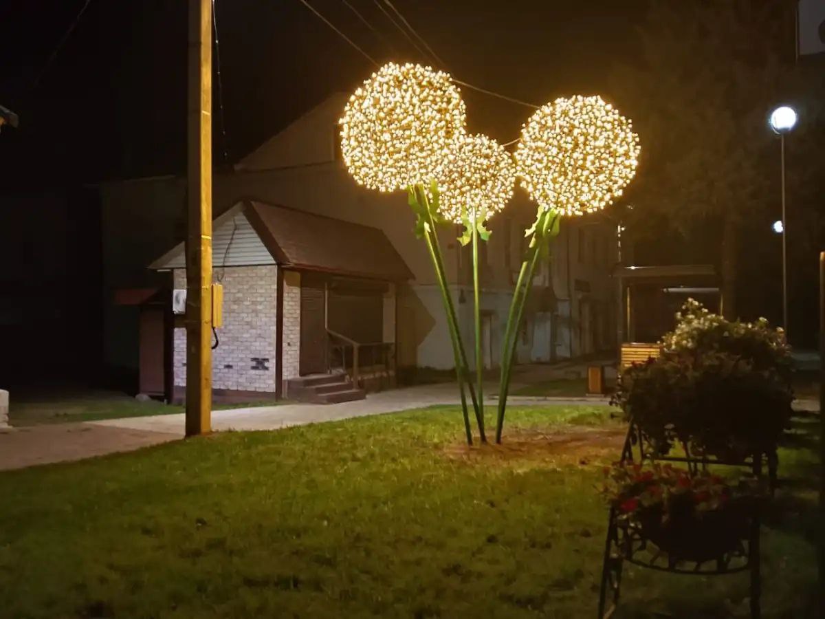 В центре Демянска установили огромные одуванчики-светильники