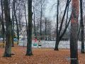 В двух новгородских парках идёт монтаж новых важных объектов