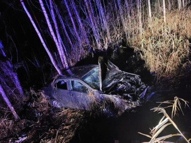 Под Великим Новгородом в результате аварии погиб мужчина, еще двое человек пострадали