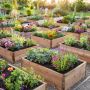 Грядки-короба: как превратить маленький участок в огород с рекордным урожаем