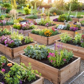 Грядки-короба: как превратить маленький участок в огород с рекордным урожаем