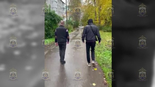 В Новгородской области полицейские раскрыли кражу иномарки, совершённую 10 лет назад