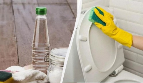 Как освежить унитаз: секреты чистки без химии