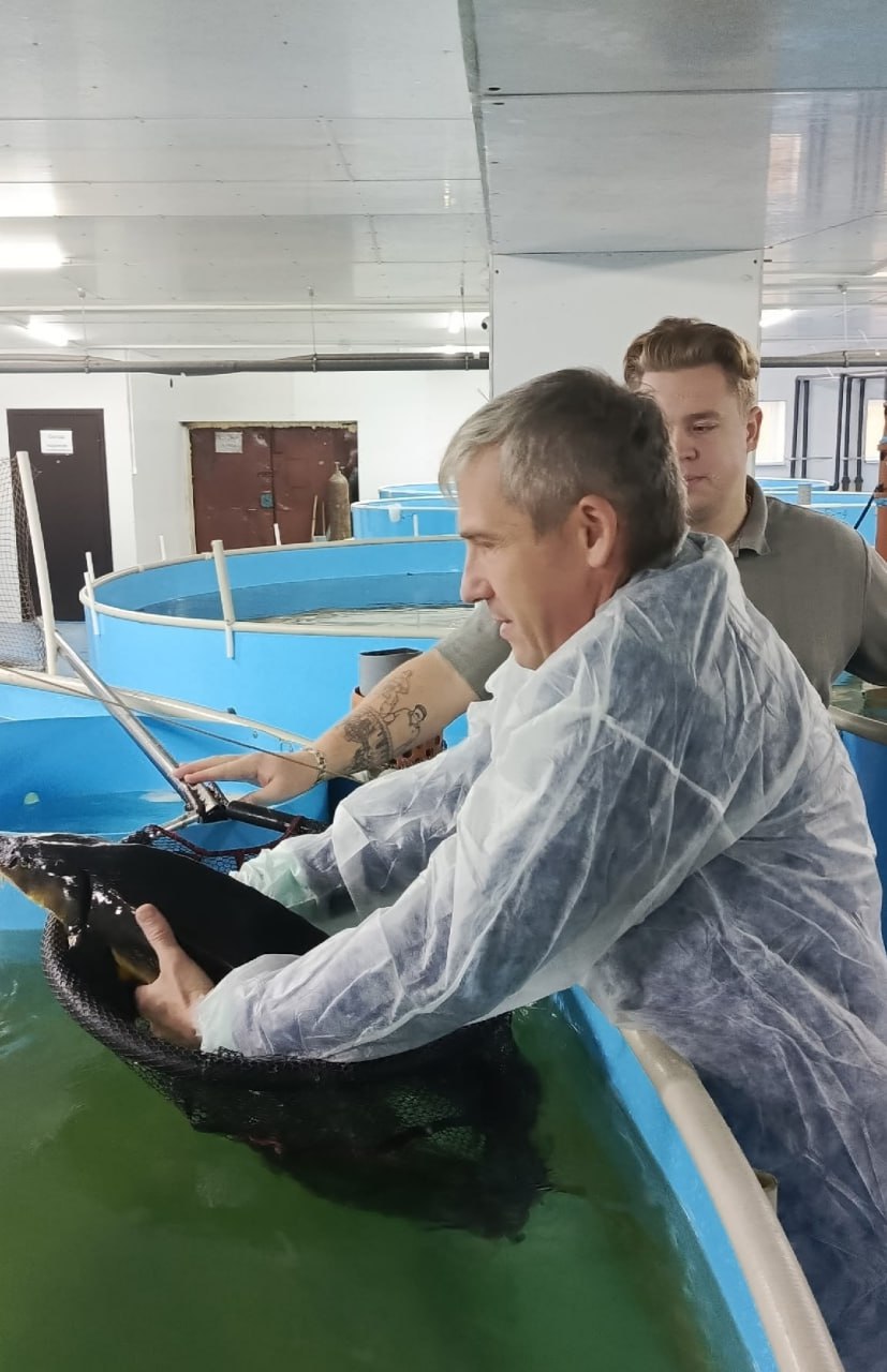 Участник проекта «СВОи Герои 53» познакомился с работой новгородского рыбзавода Участник проекта «СВОи Герои 53» познакомился с работой новгородского рыбзавода