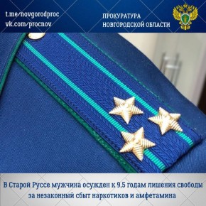 Старорусский районный суд с участием представителя Старорусской межрайонной прокуратуры вынес обвинительный приговор по уголовному делу в отношении 24-летнего местного жителя Дмитрия Игнатьева