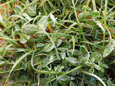 Названо время, когда тепло покинет Новгородскую область