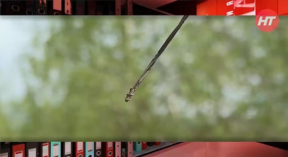 Новый выпуск программы «Территория закона»