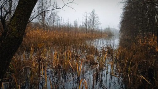 Большая Валдайская тропа закрывается на зимовку