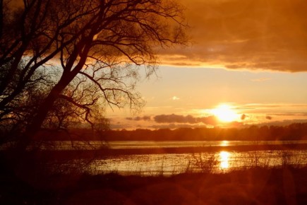 Спокойной ночи, Новгородская область!