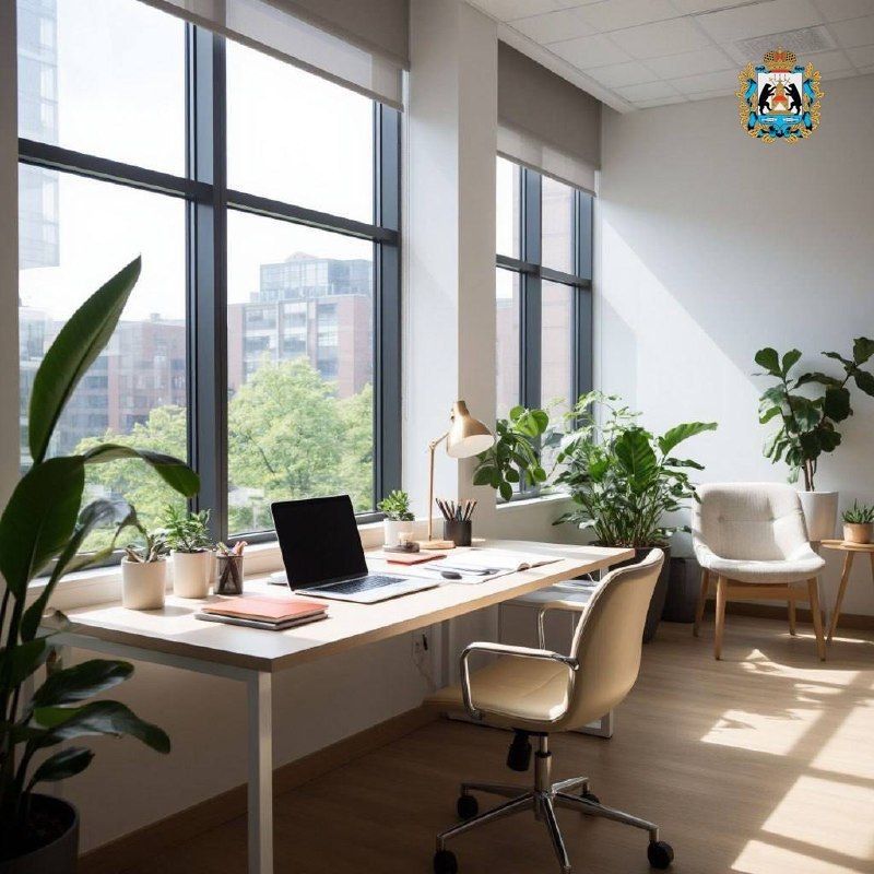 Как должно выглядеть идеальное рабочее место?