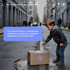 Детский омбудсмен призвала юных новгородцев не подбирать незнакомые предметы на улице