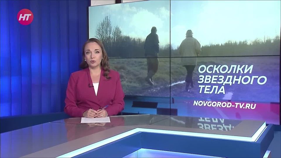 В лесах Новгородской области учёные РАН ищут обломки метеорита, упавшего 27 октября