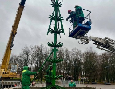 На главной площади Великого Новгорода приступили к сборке новогодней ели