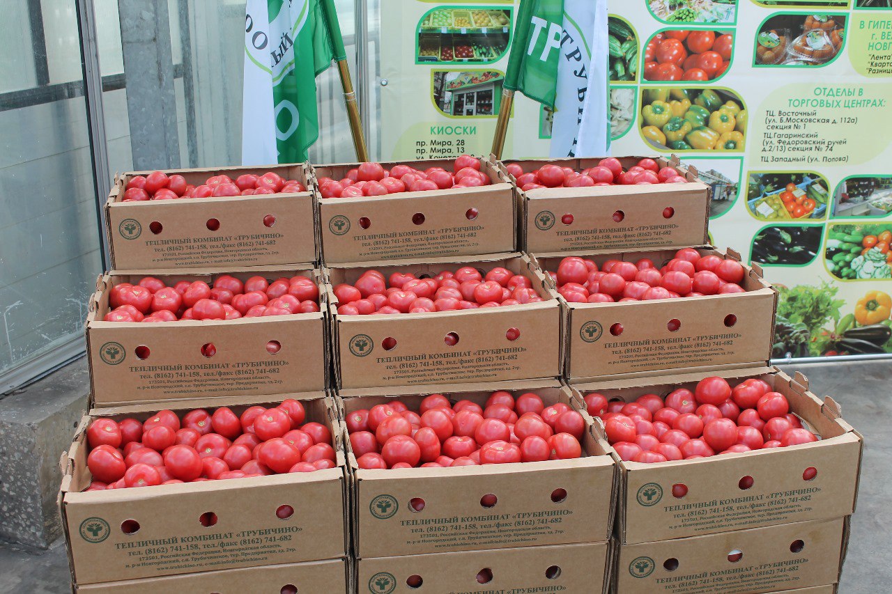 Стало известно, какие овощи пользуются спросом у жителей Новгородской области Стало известно, какие овощи пользуются спросом у жителей Новгородской области