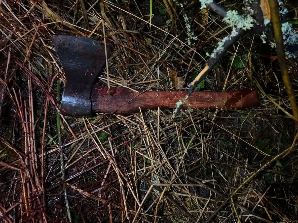 Пенсионера из Шимского округа подозревают в незаконной охоте на лося Пенсионера из Шимского округа подозревают в незаконной охоте на лося