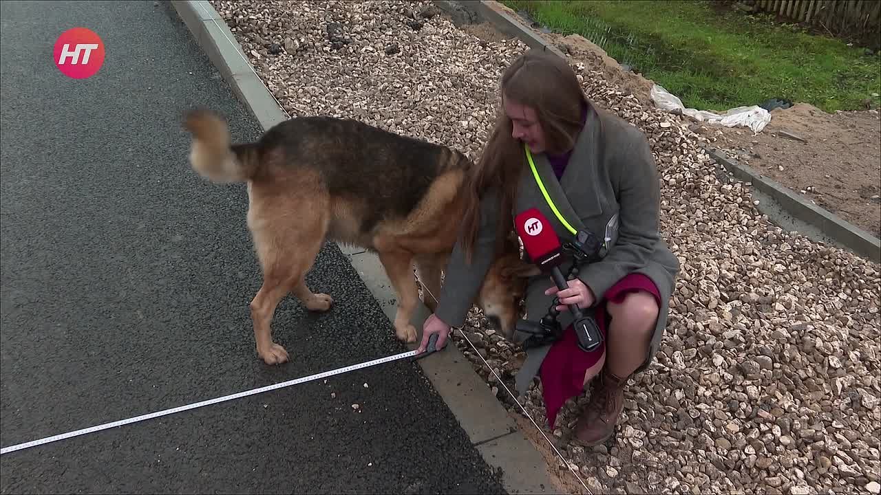 Эксперт по благоустройству – с хвостом!