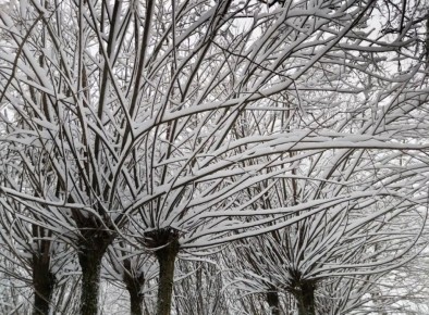 В выходные новгородцев ждут 6-градусный мороз, снегопад и гололёд