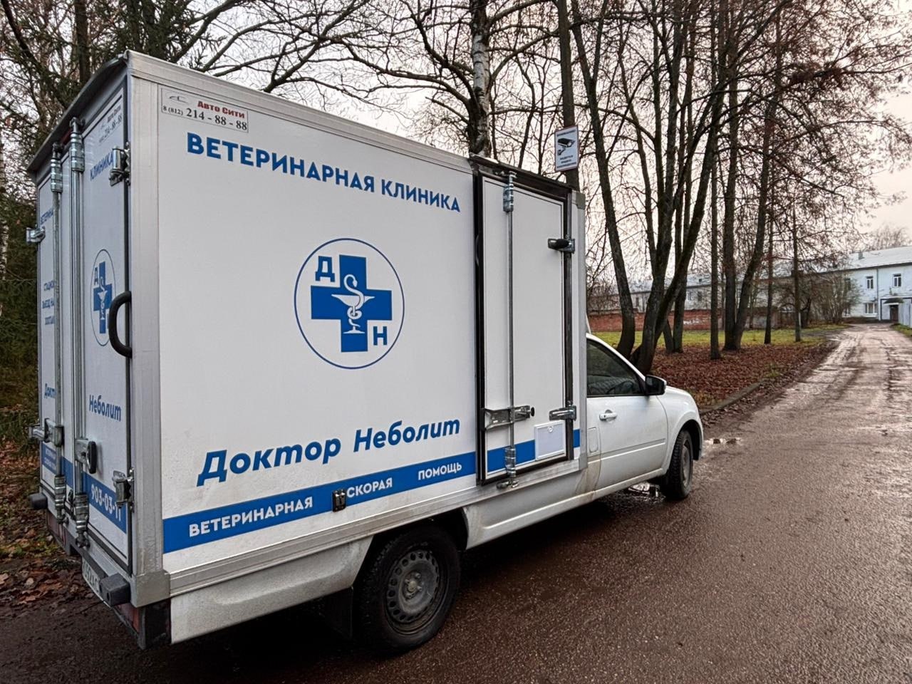 В Великом Новгороде кинологи обошли места сборищ безнадзорных собак В Великом Новгороде кинологи обошли места сборищ безнадзорных собак