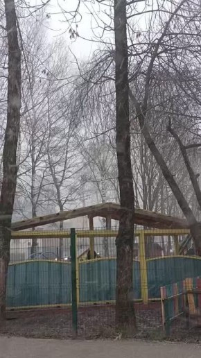 Снегопад в Новгородской области