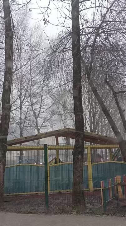 Снегопад в Новгородской области