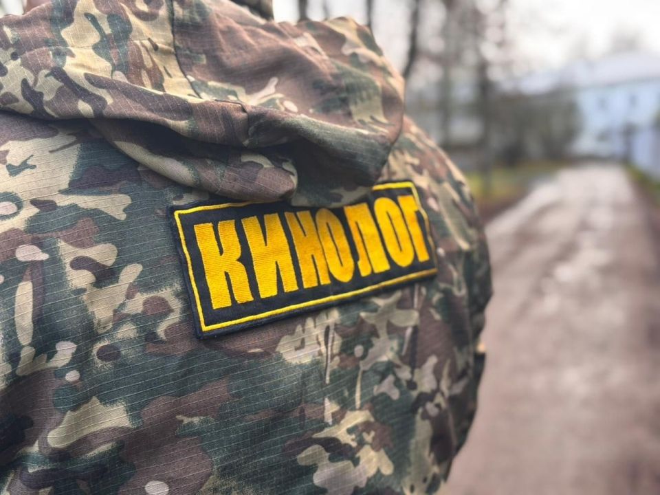 В Великом Новгороде кинологи обошли места сборищ безнадзорных собак