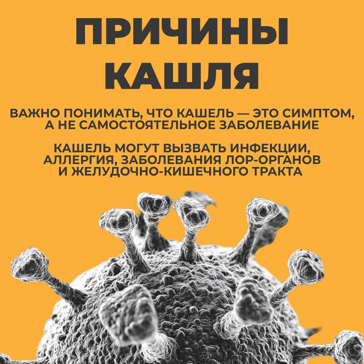 Что нужно знать о кашле?. В выпуске программы «Скажите, доктор» новгородский врач-пульмонолог объяснила, какой бывает кашель и почему важно его не игнорировать Что нужно знать о кашле?. В выпуске программы «Скажите, доктор» новгородский врач-пульмонолог объяснила, какой бывает кашель и почему важно его не игнорировать