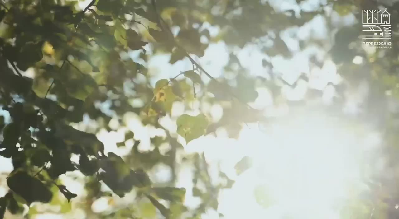 Губернатор Александр Дронов поделился историей Анастасии Свиридовой