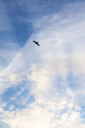 Доброго утра!. Предлагаем начать этот день с прочтения интересного материала Врач рассказала, как сахарный диабет влияет на здоровье полости рта Фото: Дарья Гусева