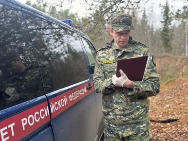 Бывшего полицейского из Чудова обвиняют в фальсификации объяснений потерпевшего