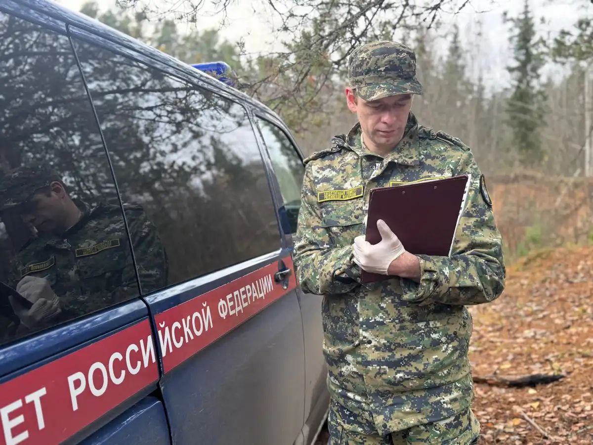Бывшего полицейского из Чудова обвиняют в фальсификации объяснений потерпевшего