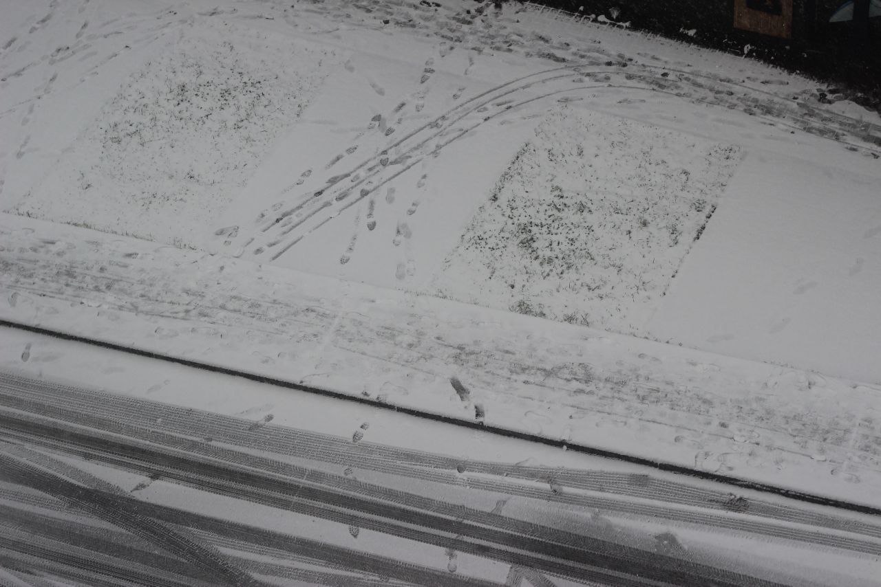 Фоторепортаж: в Великий Новгород пришёл снег Фоторепортаж: в Великий Новгород пришёл снег