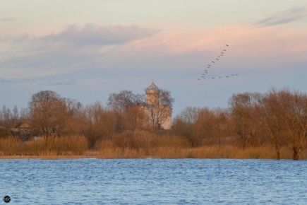Погода для жителей Великого Новгорода, Боровичей и Старой Руссы с 17 по 23 ноября