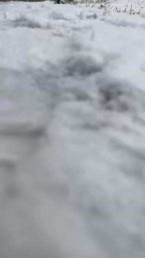 В Великом Новгороде выпал первый снег