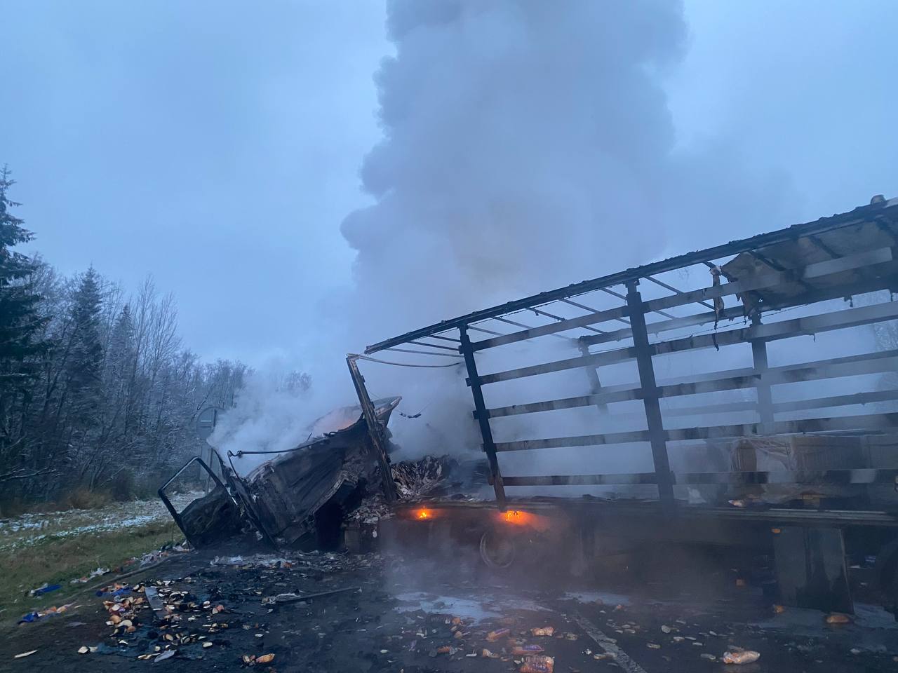 Сотрудниками новгородской Госавтоинспекции выясняются причины и обстоятельства ДТП на федеральной автодороге М-10