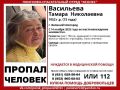 В Великом Новгороде идут поиски 73-летней женщины