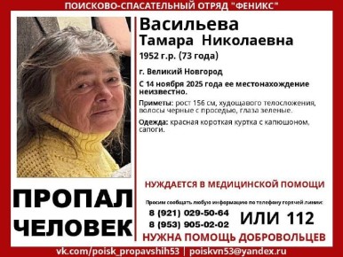 В Великом Новгороде идут поиски 73-летней женщины