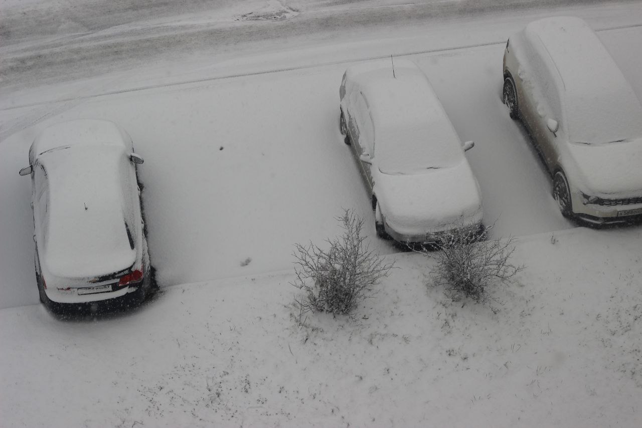 Фоторепортаж: в Великий Новгород пришёл снег Фоторепортаж: в Великий Новгород пришёл снег