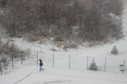 Фоторепортаж: в Великий Новгород пришёл снег