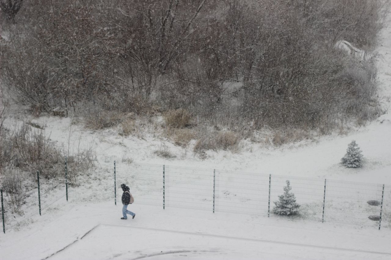 Фоторепортаж: в Великий Новгород пришёл снег