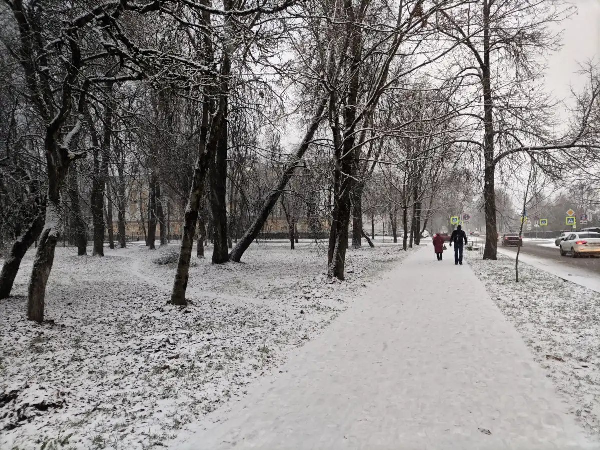 До середины недели синоптики обещают жителям Новгородской области ночные морозы, снег и гололёд