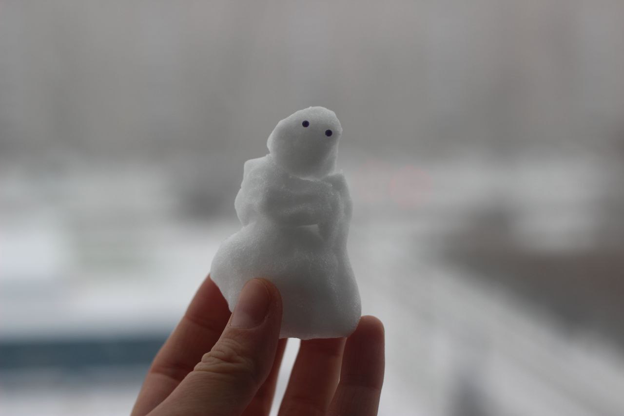 Фоторепортаж: в Великий Новгород пришёл снег Фоторепортаж: в Великий Новгород пришёл снег