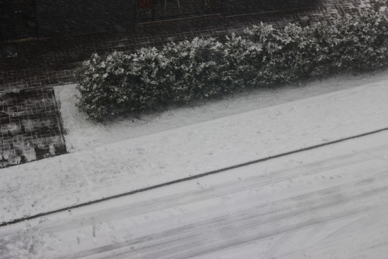 Фоторепортаж: в Великий Новгород пришёл снег Фоторепортаж: в Великий Новгород пришёл снег