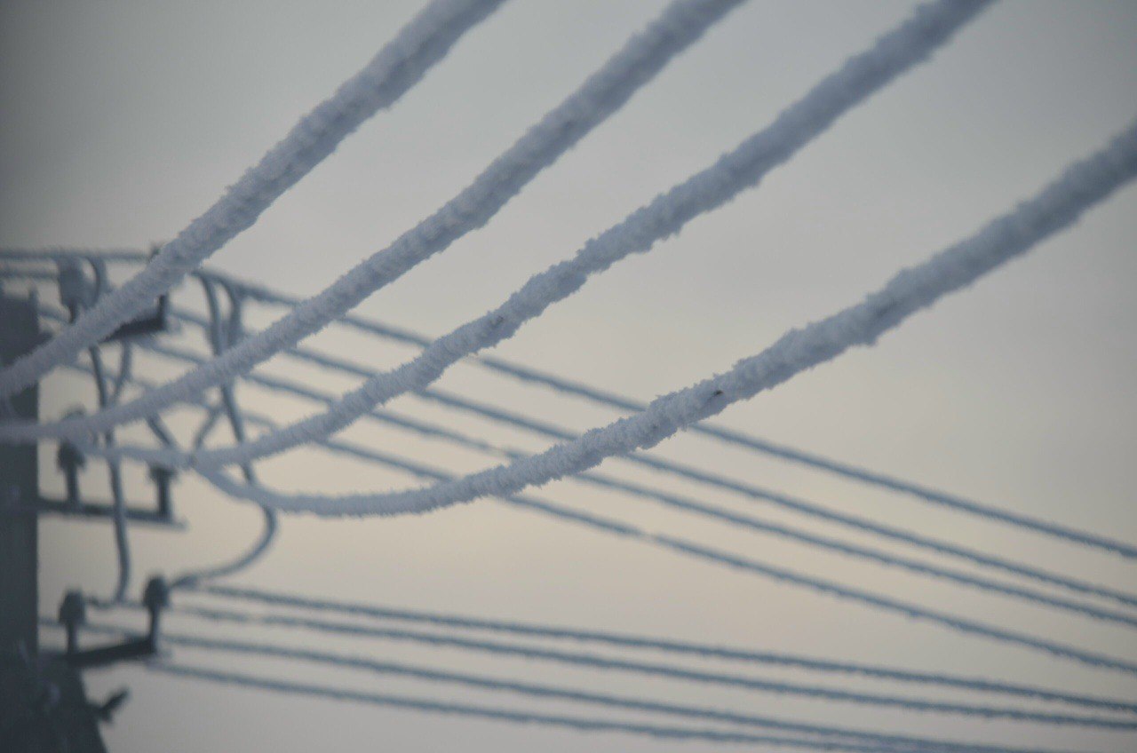 Новгородцев предупреждают о налипании мокрого снега