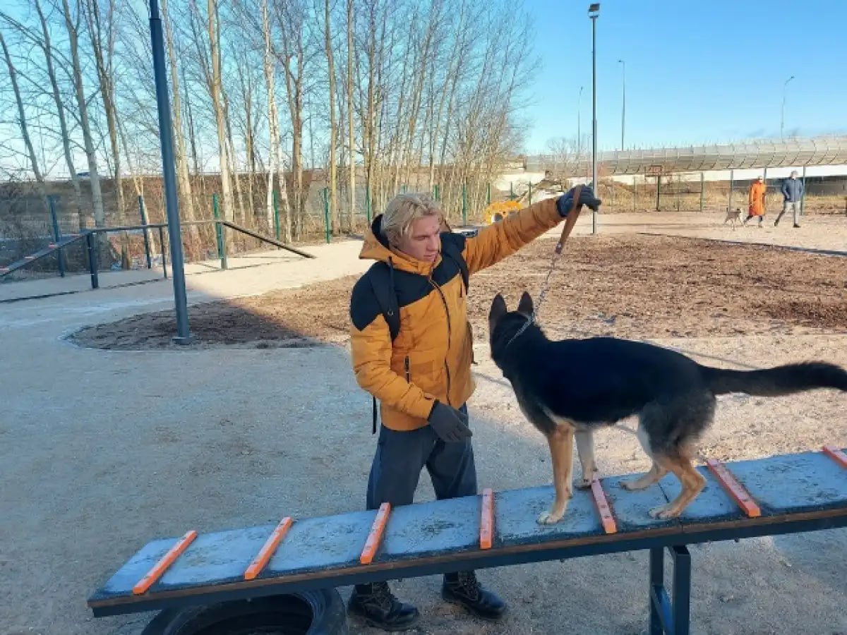 В Бурегах завершают противоаварийные работы на колокольне XVIII века В Бурегах завершают противоаварийные работы на колокольне XVIII века