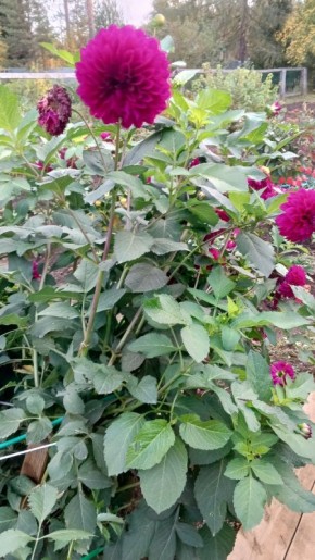 Не просите советы, не зная истинной ситуации