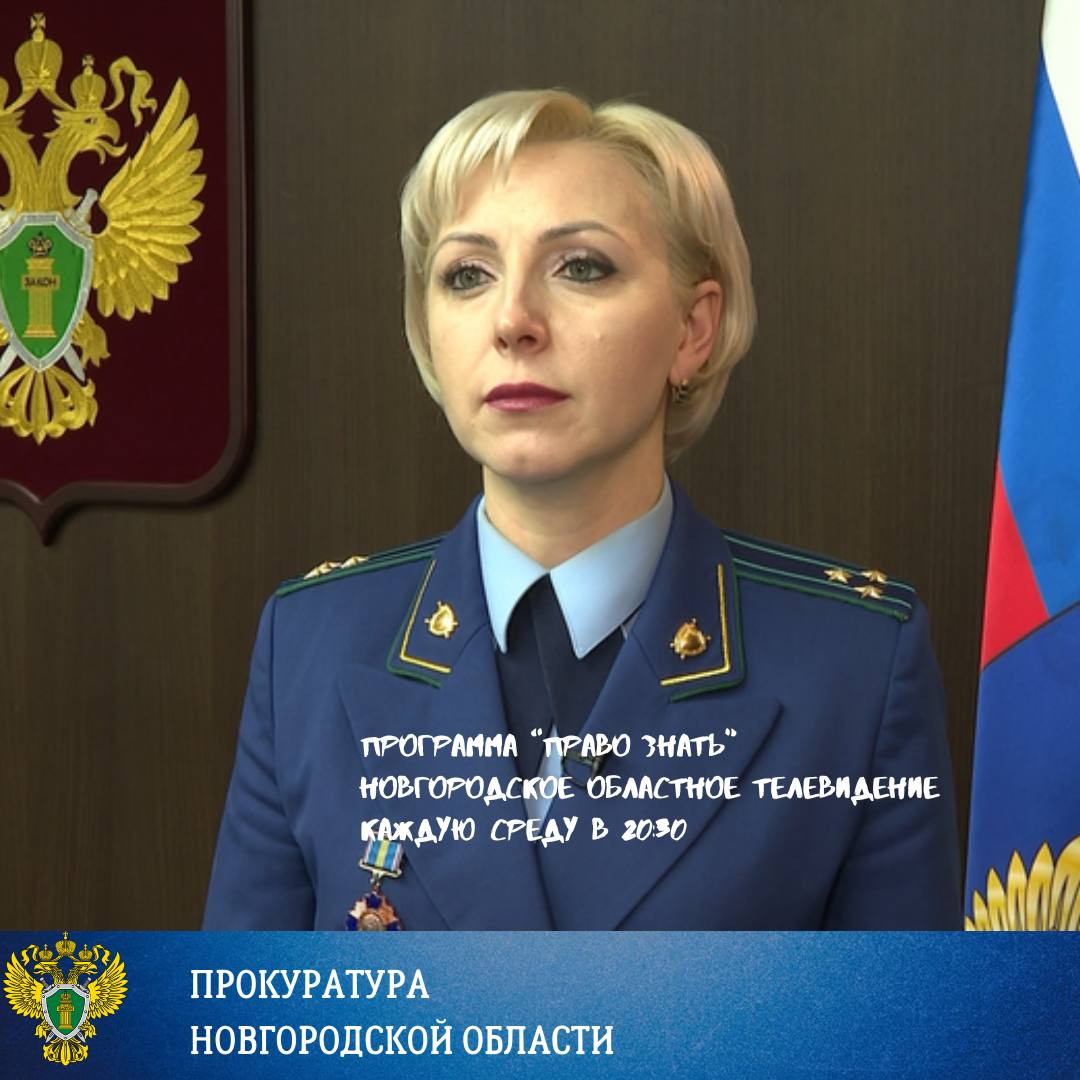 О приближении календарной зимы жителям Новгородской области напомнил снег, который выпал уже в середине ноября