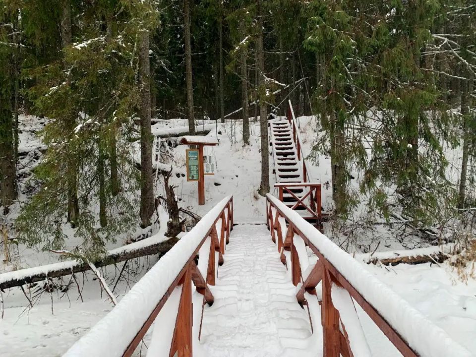«Большую Валдайскую тропу» закрыли для туристов до весны