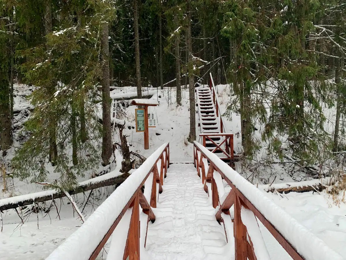 «Большую Валдайскую тропу» закрыли для туристов до весны