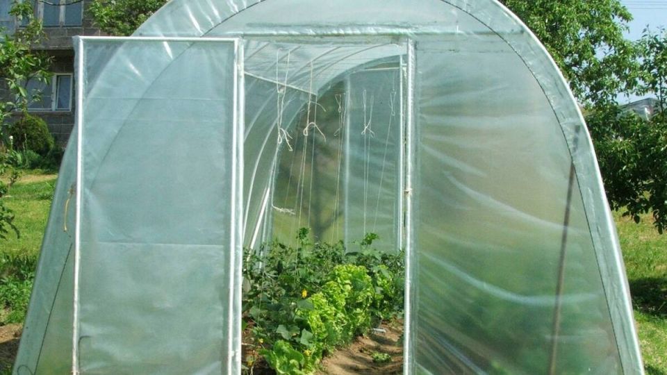 Как выбрать идеальную пленку для теплицы