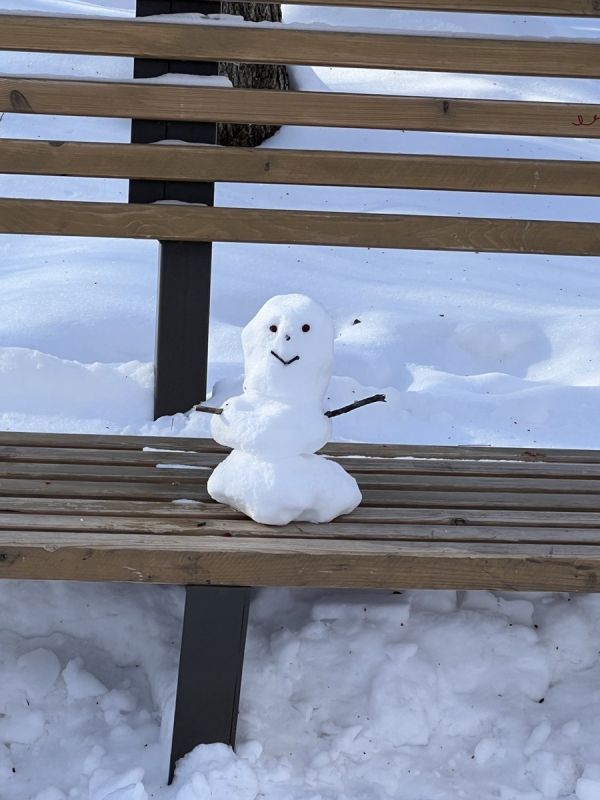 Март: Время весенних забот в саду